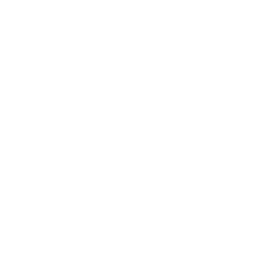 L'équipe